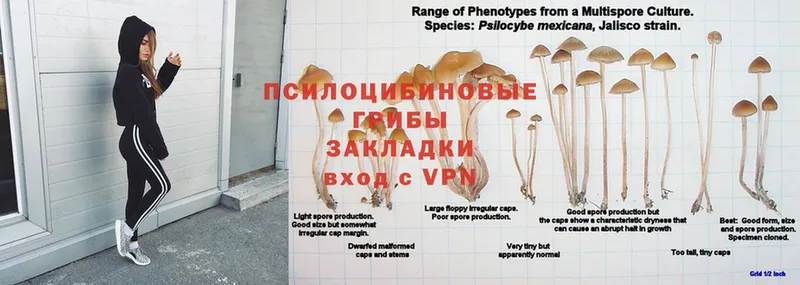 Наркотические вещества Гулькевичи APVP  Меф  ГАШИШ  Галлюциногенные грибы  Каннабис 